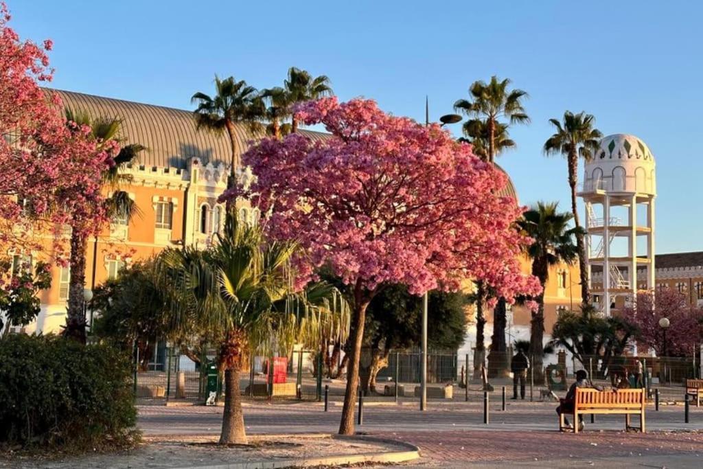 Apartamento Jacaranda Murcia Esterno foto